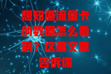 想知道流量卡的数据怎么看到?这篇文章告诉你