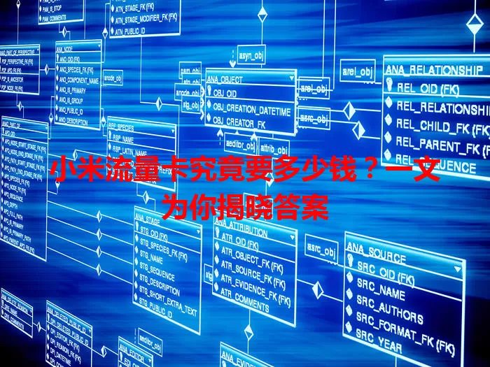 小米流量卡究竟要多少钱?一文为你揭晓答案