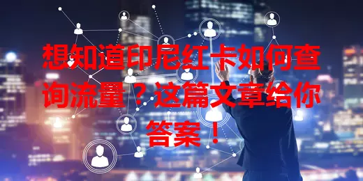 想知道印尼红卡如何查询流量?这篇文章给你答案!