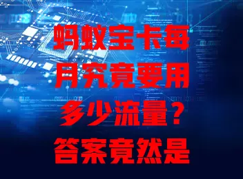 蚂蚁宝卡每月究竟要用多少流量?答案竟然是……