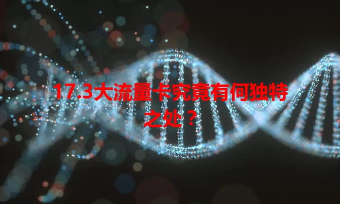 17.3大流量卡究竟有何独特之处?