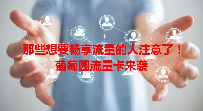 那些想要畅享流量的人注意了!葡萄园流量卡来袭