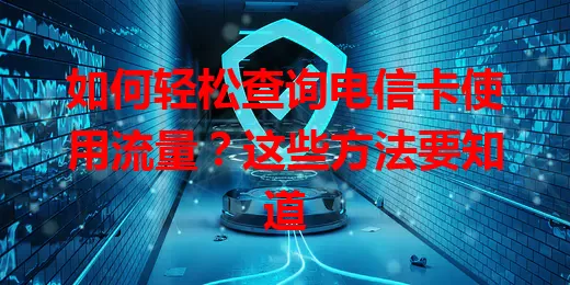 如何轻松查询电信卡使用流量?这些方法要知道