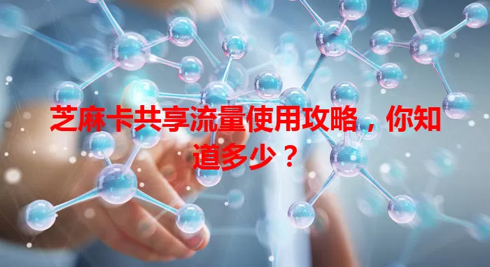 芝麻卡共享流量使用攻略,你知道多少?