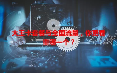 大王卡套餐与全国流量，你更看重哪一个？