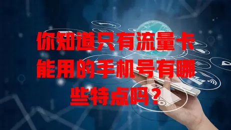 你知道只有流量卡能用的手机号有哪些特点吗?
