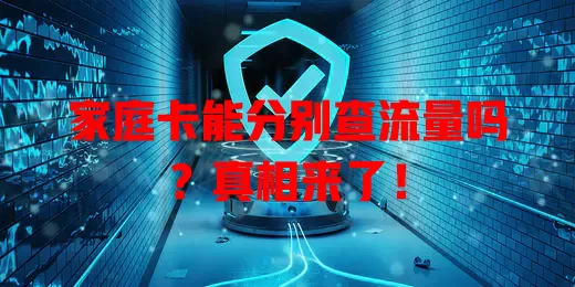 家庭卡能分别查流量吗?真相来了!