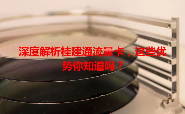深度解析桂建通流量卡,这些优势你知道吗?