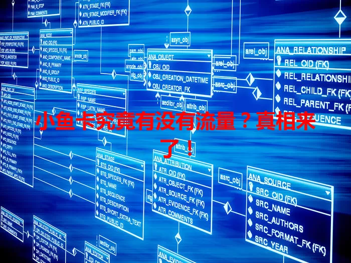 小鱼卡究竟有没有流量?真相来了!