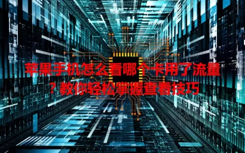 苹果手机怎么看哪个卡用了流量？教你轻松掌握查看技巧
