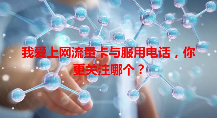 我爱上网流量卡与服用电话,你更关注哪个?