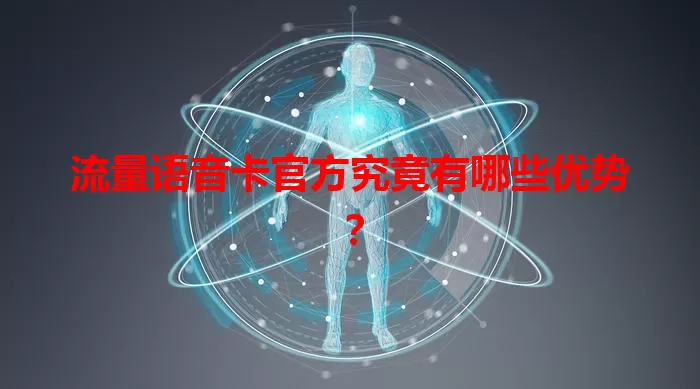 流量语音卡官方究竟有哪些优势?