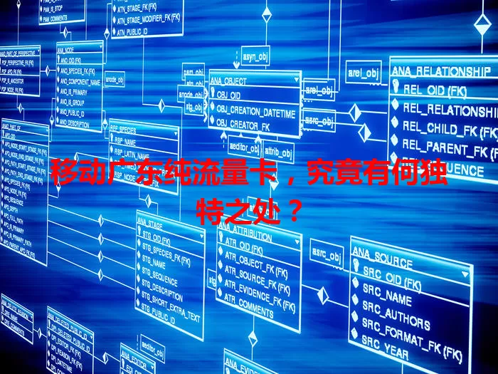 移动广东纯流量卡,究竟有何独特之处?