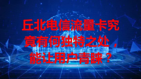 丘北电信流量卡究竟有何独特之处,能让用户青睐?