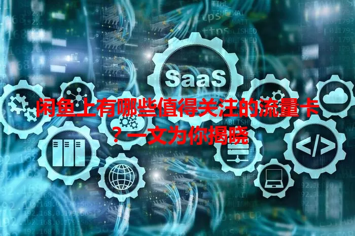 闲鱼上有哪些值得关注的流量卡?一文为你揭晓