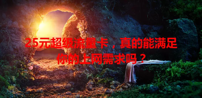 25元超级流量卡,真的能满足你的上网需求吗?