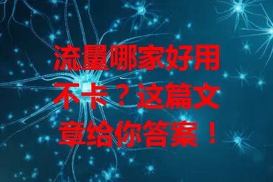 流量哪家好用不卡?这篇文章给你答案!