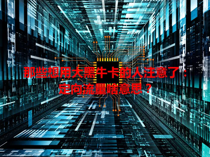 那些想用大黑牛卡的人注意了:定向流量啥意思?