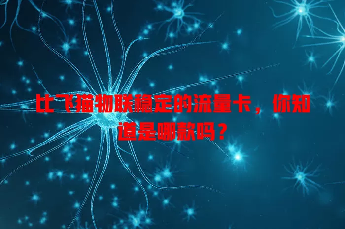 比飞猫物联稳定的流量卡,你知道是哪款吗?