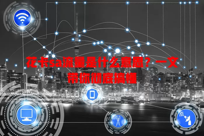 花卡sa流量是什么意思?一文带你彻底搞懂