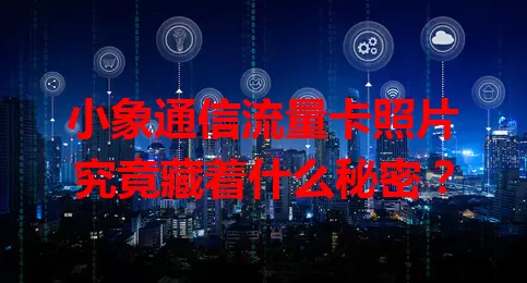 小象通信流量卡照片究竟藏着什么秘密?