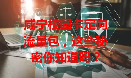 咸宁校园卡定向流量包,这些秘密你知道吗?