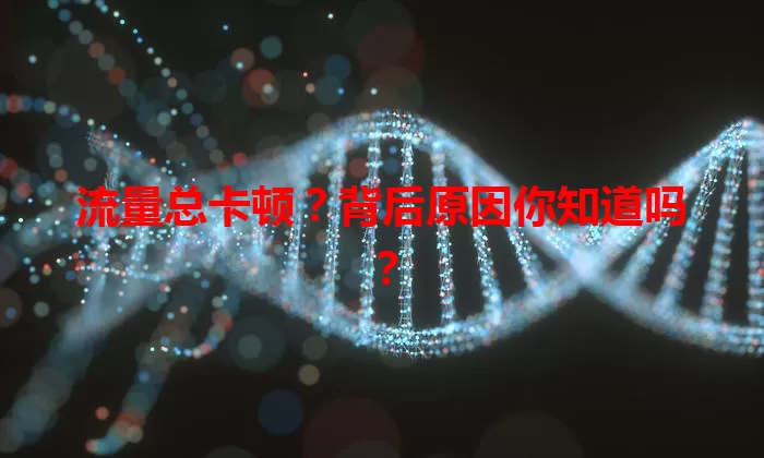 流量总卡顿?背后原因你知道吗?