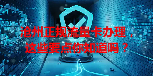 沧州正规流量卡办理,这些要点你知道吗?
