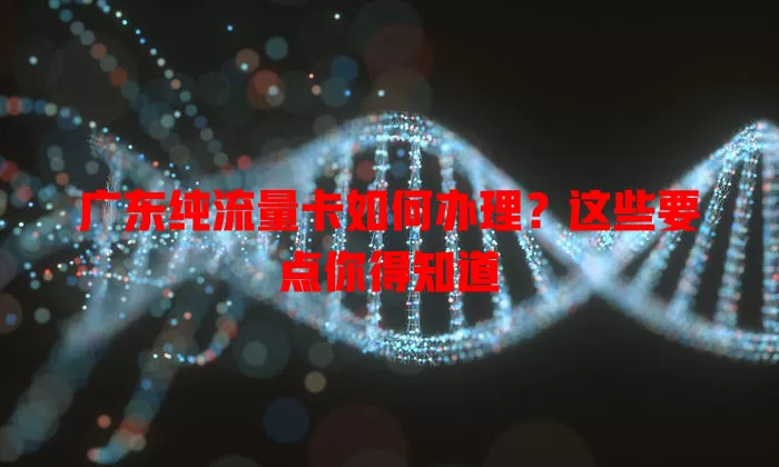 广东纯流量卡如何办理?这些要点你得知道