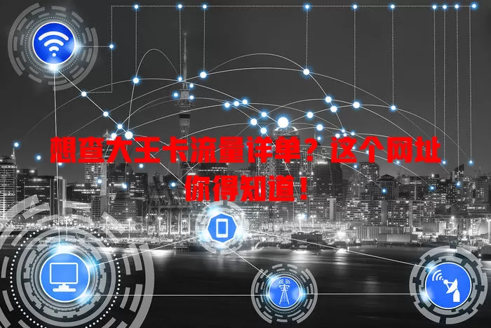 想查大王卡流量详单?这个网址你得知道!