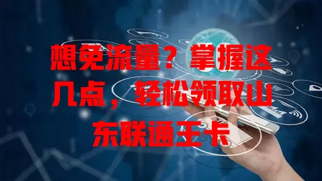 想免流量?掌握这几点,轻松领取山东联通王卡