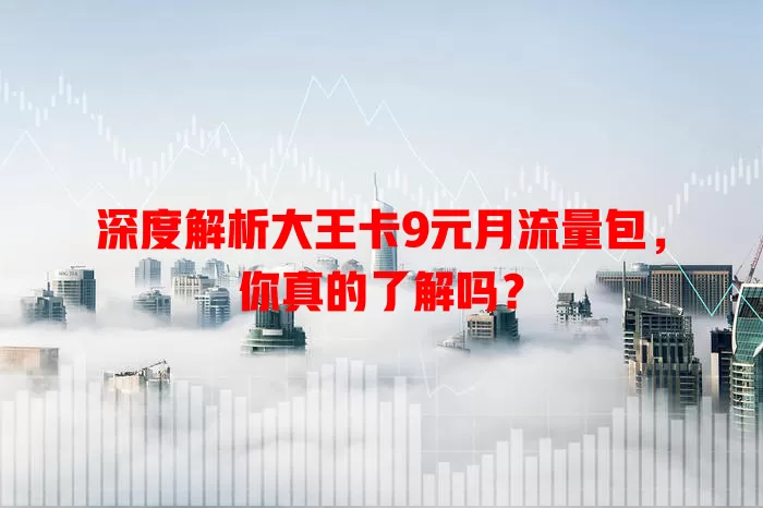 深度解析大王卡9元月流量包,你真的了解吗?
