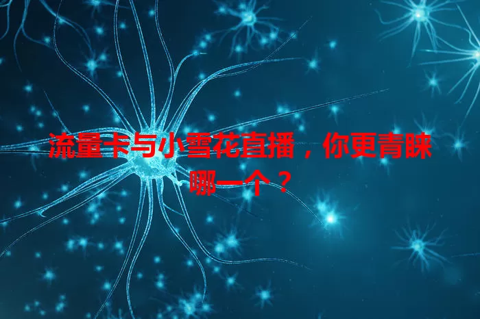 流量卡与小雪花直播,你更青睐哪一个?