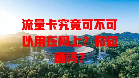 流量卡究竟可不可以用在网上?你知道吗?