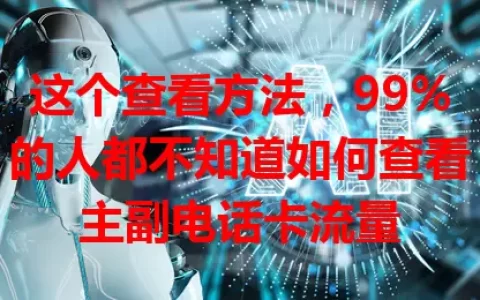 这个查看方法，99%的人都不知道如何查看主副电话卡流量