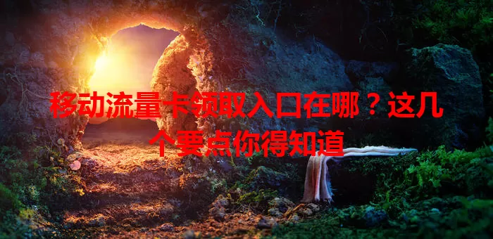 移动流量卡领取入口在哪？这几个要点你得知道