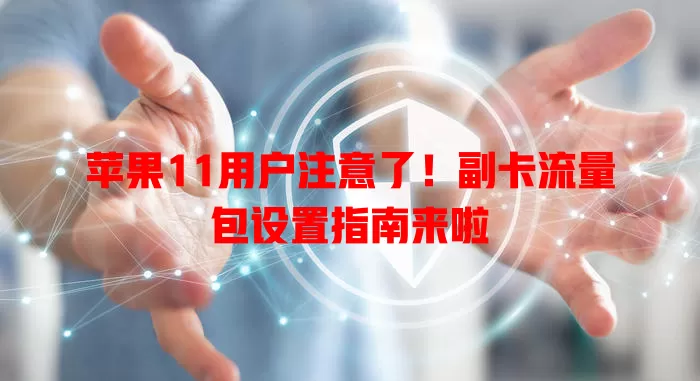 苹果11用户注意了!副卡流量包设置指南来啦