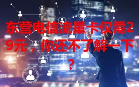 东营电信流量卡仅需29元，你还不了解一下？