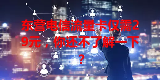 东营电信流量卡仅需29元,你还不了解一下?