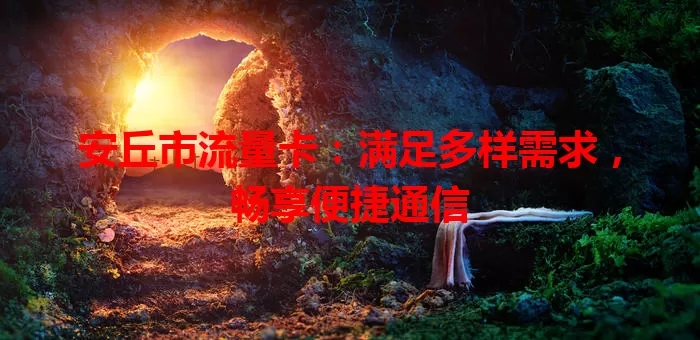 安丘市流量卡:满足多样需求,畅享便捷通信