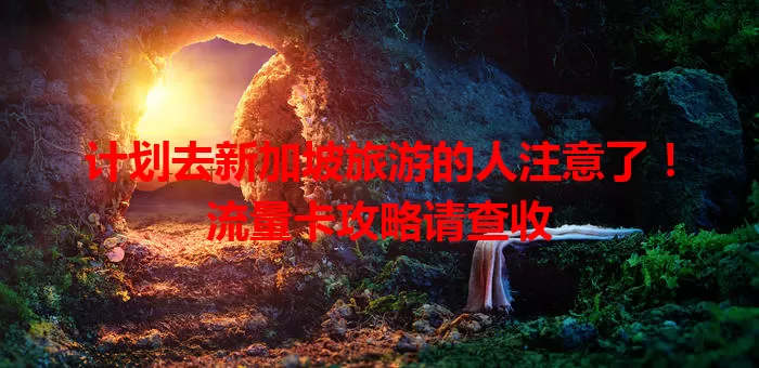 计划去新加坡旅游的人注意了！流量卡攻略请查收
