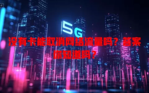 没有卡能取消网络流量吗？答案你知道吗？