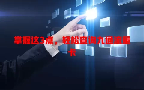 掌握这3点，轻松查询九通流量卡