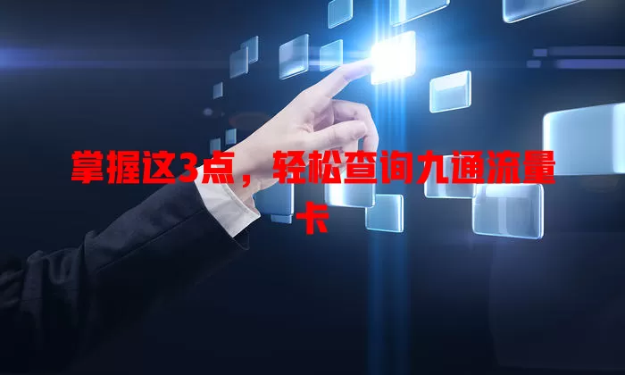 掌握这3点,轻松查询九通流量卡
