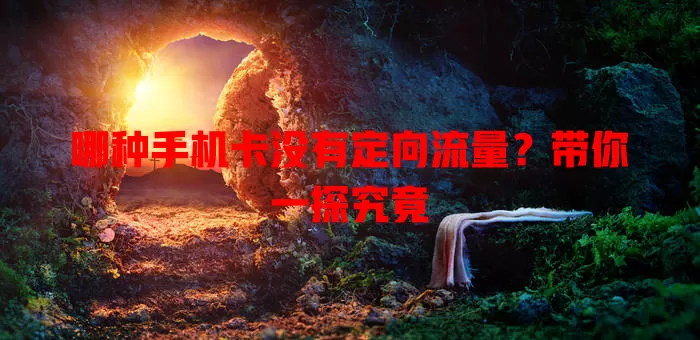 哪种手机卡没有定向流量?带你一探究竟