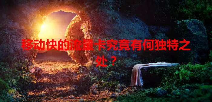 移动快的流量卡究竟有何独特之处?