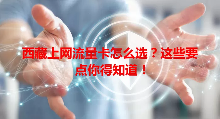 西藏上网流量卡怎么选?这些要点你得知道!