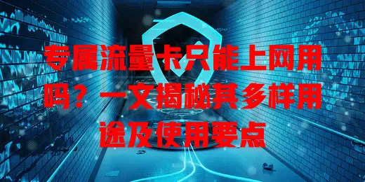 专属流量卡只能上网用吗?一文揭秘其多样用途及使用要点