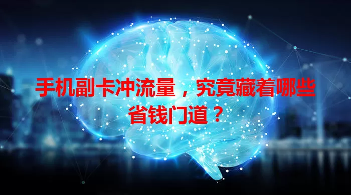 手机副卡冲流量,究竟藏着哪些省钱门道?