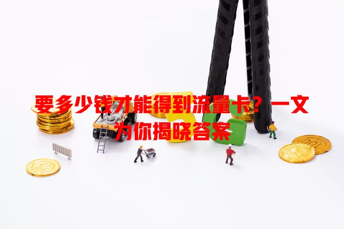 要多少钱才能得到流量卡?一文为你揭晓答案